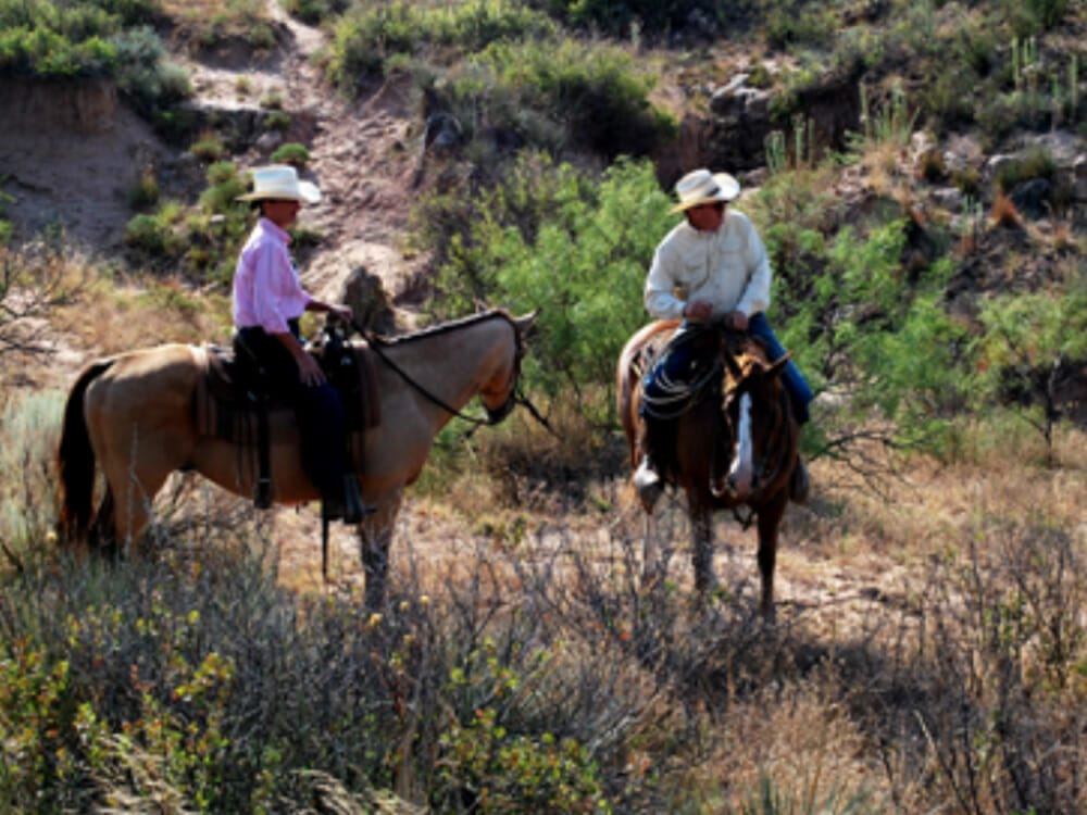 Horsebback riding